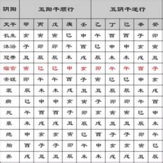 寄生十二宫|八字入门